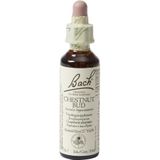 Bach Bloesem Chestnut Bud 7 Oplossing 20ml