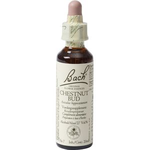 Bach Chestnut Bud Kastanjeknop - 20 ml - Voedingssupplement