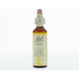 Bach Flower Remedies Gaspeldoorn 13