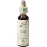 Bach Flower Remedies Gaspeldoorn 13