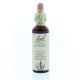 Bach - Heather - Bloesemremedie - Struikhei - 20 Druppels