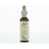 Bach Holly / Hulst - 20ml - Voedingssupplement