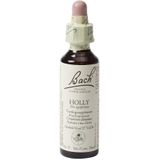 Bach Flower Remedies - Hulst - 15 ml - Bloesemtherapie