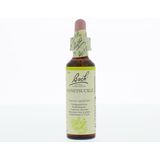 Bach Flower remedies kamperfoelie 16 20ml