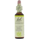 Bach Flower Remedie 16 Honeysuckle 20ml