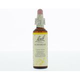 Bach Flower Remedies Haagbeuk 17