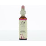 Bach Flower 19 Lariks