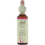 Bach Flower 19 Lariks