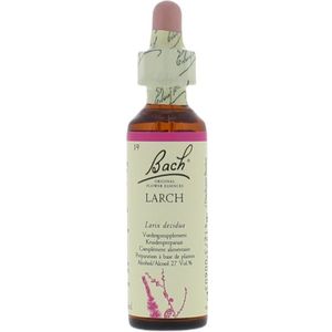 Bach Flower 19 Lariks
