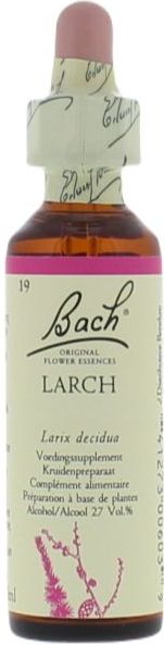 Bach Flower 19 Lariks