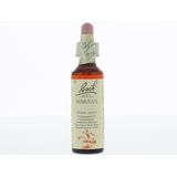 Bach Flower remedies maskerbloem 20 20ml