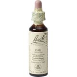 Bach Flower remedies zomereik 22 20ml