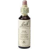 Bach Flower Remedies Den 24