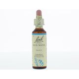 Bach Flower Remedies Bronwater 27