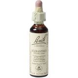 Bach Flower Remedies - Hardbloem - 28 - Bloesemtherapie