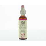 Bach - Vogelmelk - Bloesemremedie - 29 ml