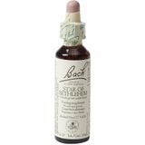 Bach - Vogelmelk - Bloesemremedie - 29 ml