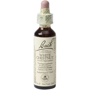 White chestnut/paardekastanje