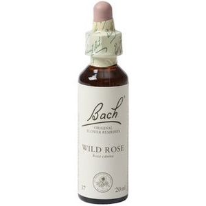 Bach Wild Rose / Hondsroos - 20 ml - Voedingssupplement
