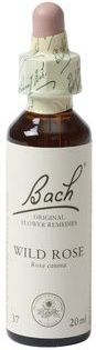 Bach Wild Rose / Hondsroos - 20 ml - Voedingssupplement