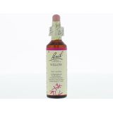 Bach Bloesem Willow 38 Oplossing 20ml