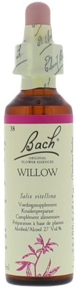 Willow/Wilg Bach