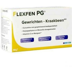 Flexfen - Pg Pharmagenerix - Blister Capsule - 60 Stuks