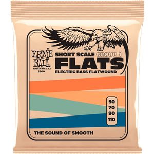 Ernie Ball Platte netsnaren, korte stemvork, groep 1, voor elektrische bas, 50-110 gauge