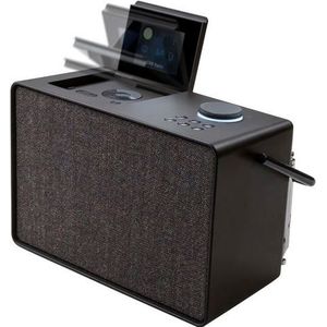 Pure Evoke Play Veelzijdig muzieksysteem voor binnen en buiten (DAB+/FM-radio, internetradio, podcasts, Spotify Connect, Bluetooth met 40 W rijk stereogeluid) Coffee Black