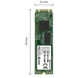 Transcend 800S - Interne SSD - 64GB - SATA M.2 - 6Gbps