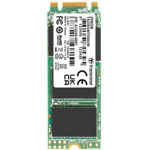 Transcend MTS602M - SSD - 256 GB - inter (256 GB, M.2), SSD
