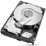 Seagate IronWolf Pro ST8000NT001 interne harde schijf 8 TB 7200 RPM 256 MB 3.5" SATA III