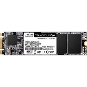 Team Group - MS30 - SSD - 256 GB - M.2 SATA III - Leessnelheid 550 MB/s - Schrijfsnelheid 470 MB/s
