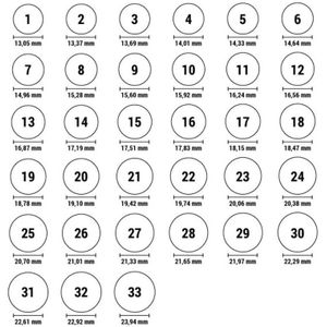 Ring Dames Skagen JRSG010SS5 (Maat 11)