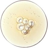 The Ordinary - Blemish Control Aloe 2% + NAG 2% Solution Serum - 30ml