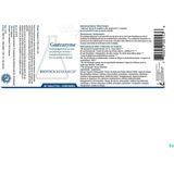 Biotics Gastrazyme 90 tabletten  -  Energetica Natura
