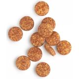 Biotics - Multi Vit-a-Mins - Tabletten - 60 stuks