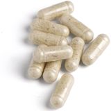 Biotics - GTA - Voedingssupplement - 90 Stuks - Schildklierextract met Selenium