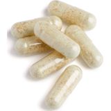 Biotics GTA-Forte Capsules - 90 Stuks - Voedingssupplement - Met Schildklierextract - Bevat Selenium, Koper en Zink