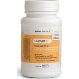 Biotics CurcumRx 60 capsules