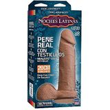Noches Latinas - Pene Real Testiculos - 8 Inch - Brown