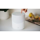 Bluesound - Pulse M - Draadloze Muziek Streaming Speaker - Wit - Bluetooth