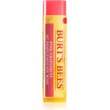 Burt's Bees - Lip Balm Pink Grapefruit