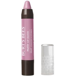 Burt's Bees Matte Lip Crayon Carolina Coast