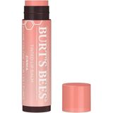 Burt's Bees - Tinted Lip Balm - Zinnia - 4,25 g