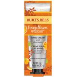 Burt's Bees Orange & Pistache handcrème - crème voor droge handen - handverzorging met sheaboter - 500433