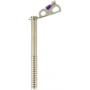 Black Diamond Express Ice Screw IJsschroef (purper)