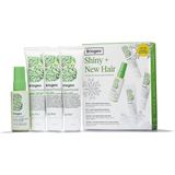 Briogeo - Superfoods Shiny + New Kit - 3 x 59 ml en 1 x 51 ml - Haarverzorging