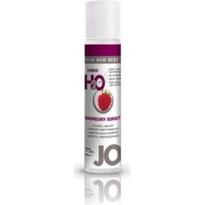 SYSTEM JO Flavors H2O Lubricant - Glijmiddel In Diverse Smaken Raspberry Sorbet