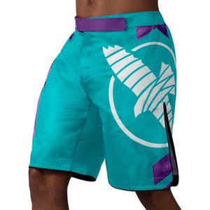 Hayabusa Icon Fight Shorts - Teal / Wit